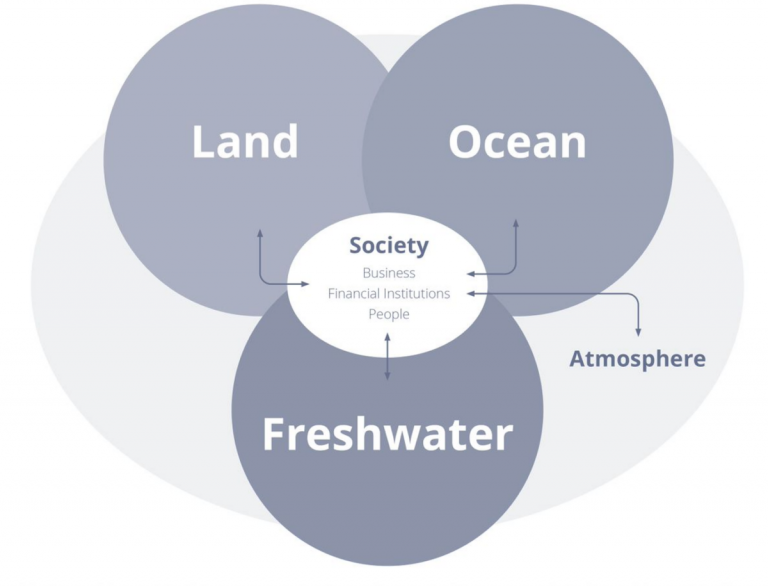 Every company needs to assess its nature-related risk