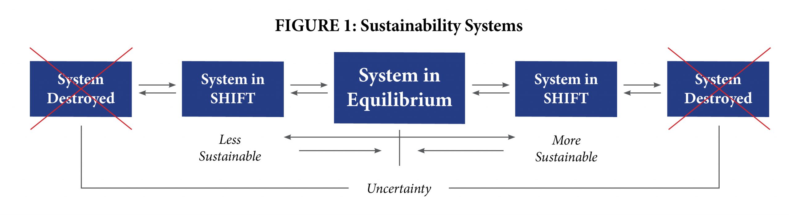 Systems Change Diagram