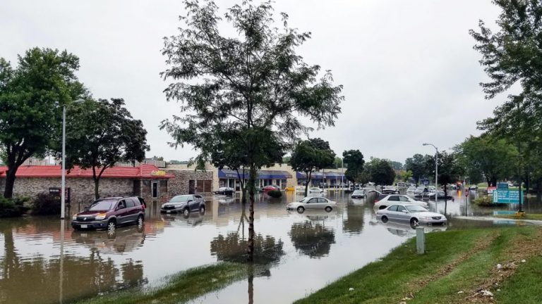 Ensuring safe and effective flood cleanup
