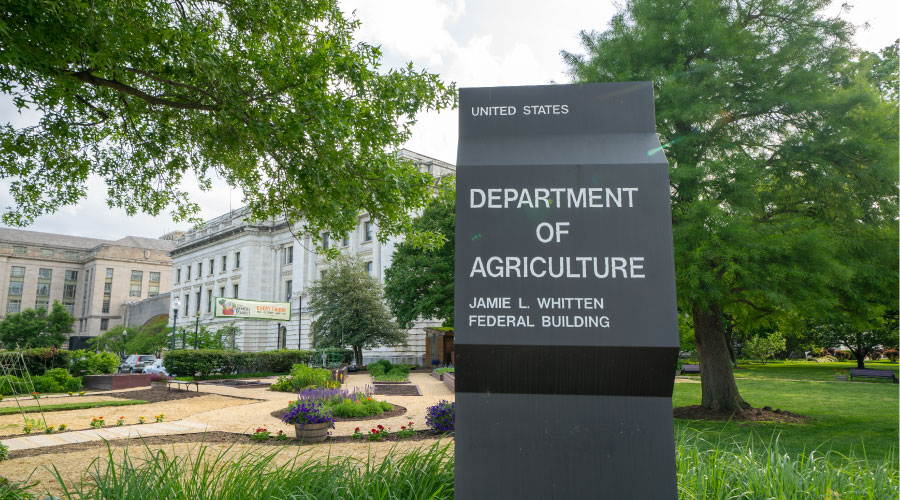 department of agriculture