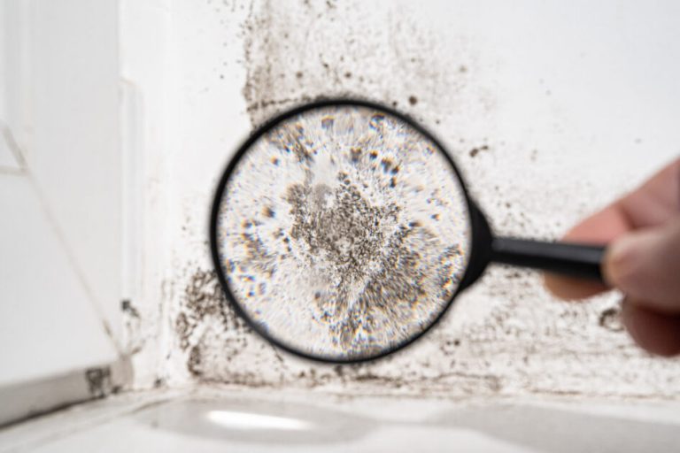 Minimizing the risk of winter mould