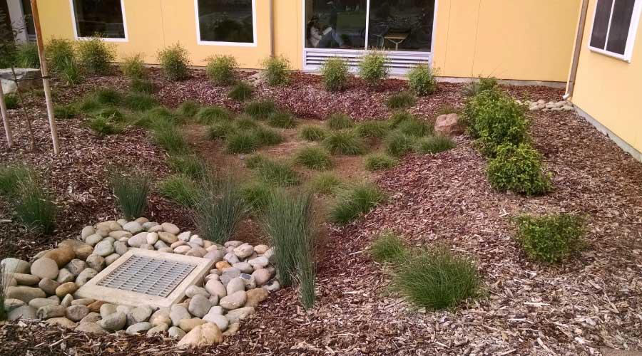 garden