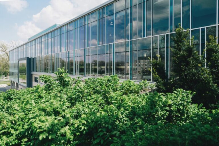Your windows can help cut costs and increase sustainability