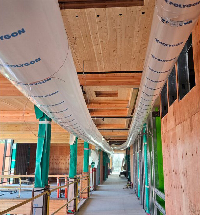 5 lessons in water mitigation for mass timber projects