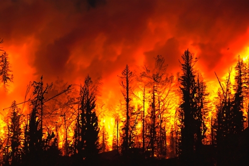 Rebuilding After Natural Disasters: Why All-Electric Solutions Are the Path Forward
