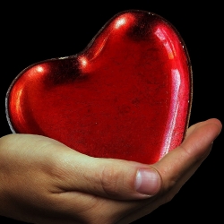 New white paper offers actions for managing trauma in the workplace