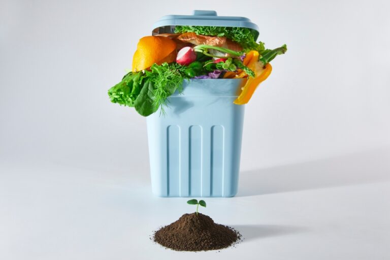 How Facilities Leadership Is Driving Food Waste Recovery at the College of Charleston