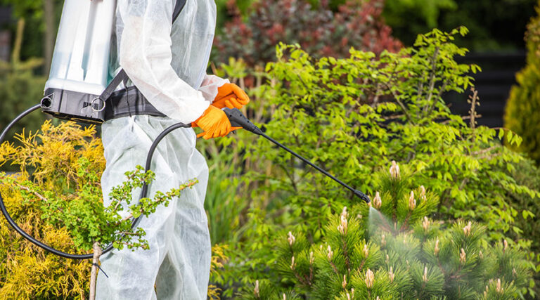 Effective Pest Prevention Starts Outdoors
