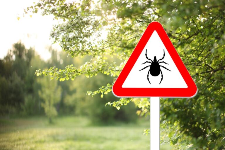 Working Outside? Protect Yourself from Ticks!