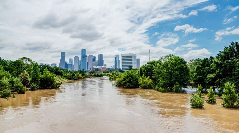 When Sustainability Becomes a Resilience Strategy