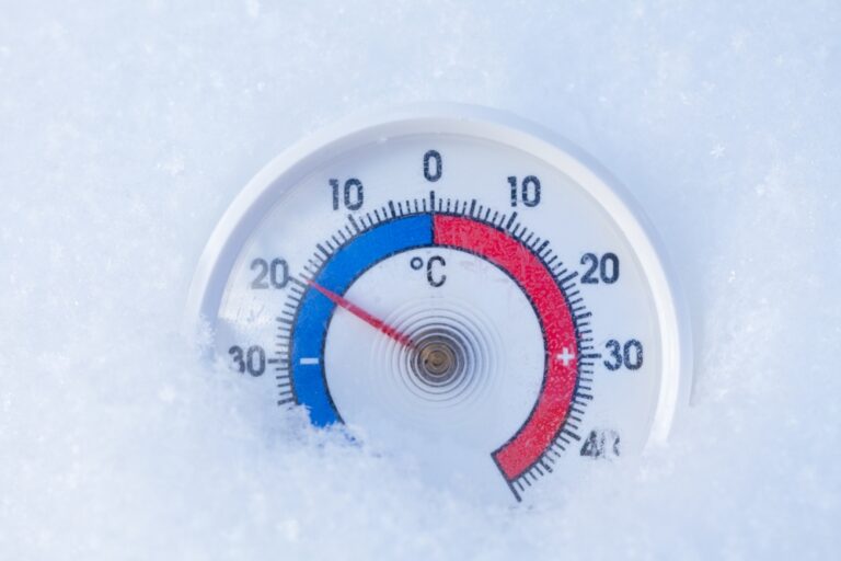 World Refrigeration Day Highlights Growing Role of Intelligent Cooling