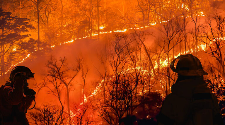 Building Wildfire Resilience Beyond Fire Season